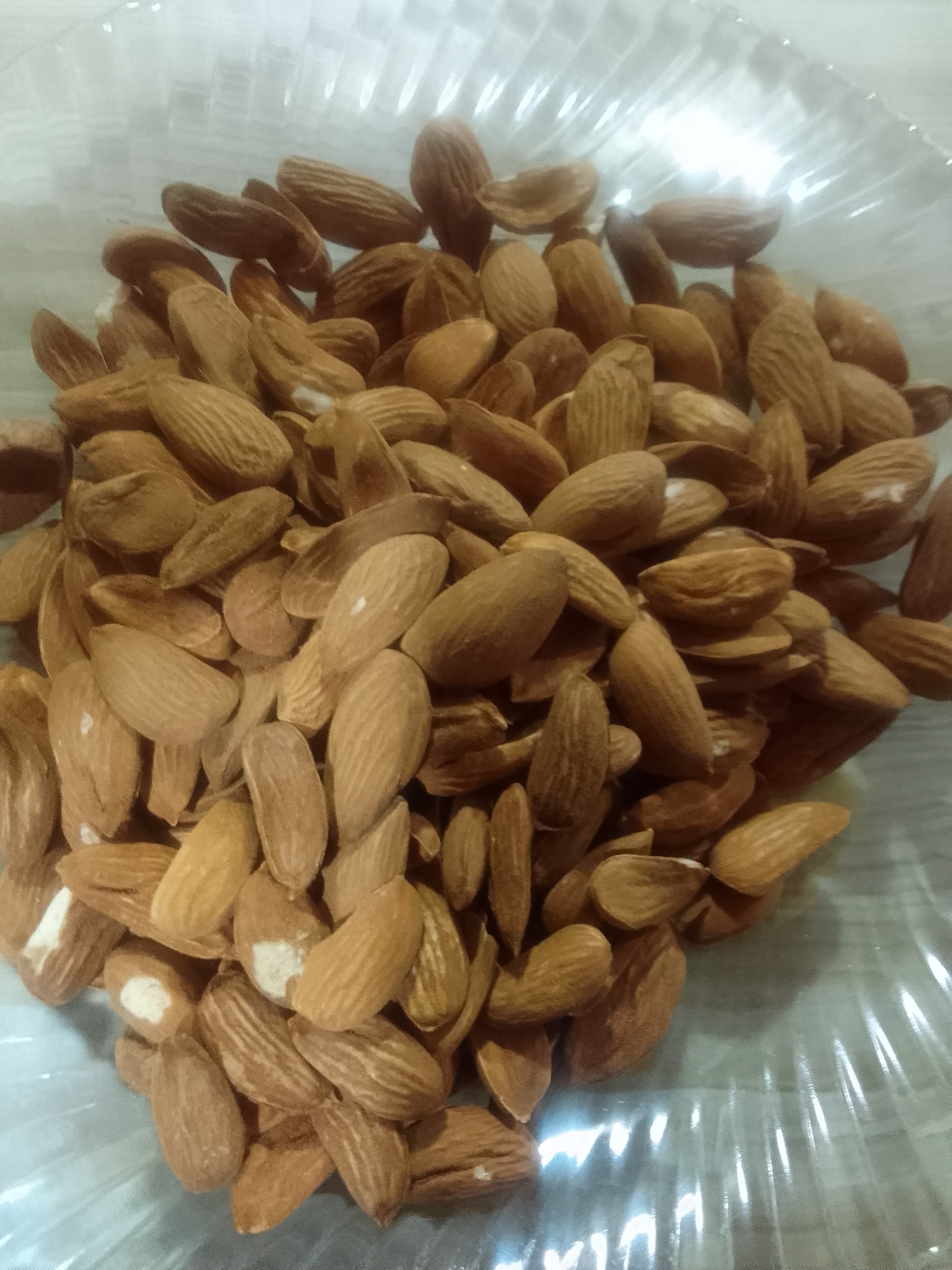 بادام سنگی + قیمت خرید